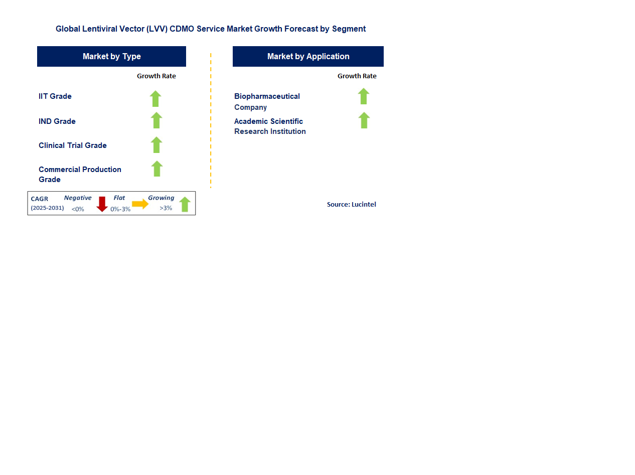 Lentiviral Vector (LVV) CDMO Service Market by Segment